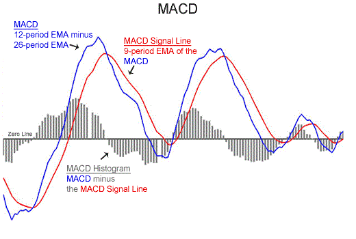 Elementos básicos del MACD